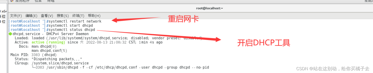 linux的网络服务之DHCP插图10