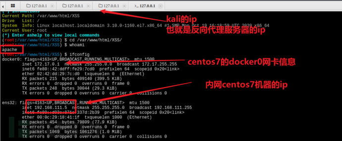 nginx是如何实现反向代理的详解-MyLoo科技网