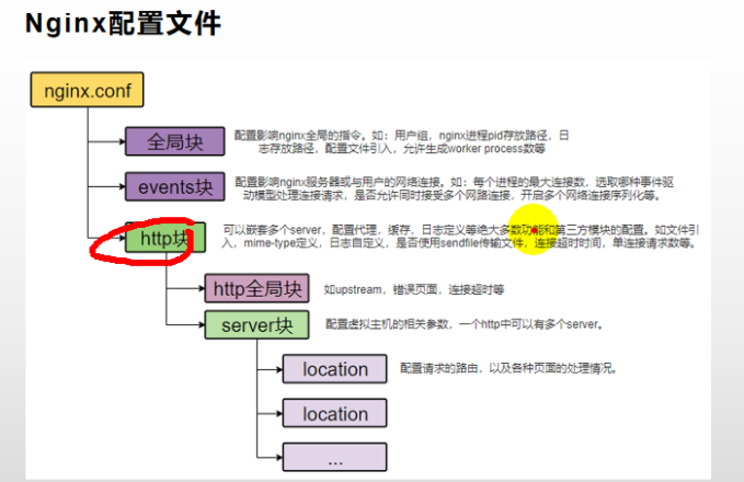 nginx 初识-MyLoo科技网