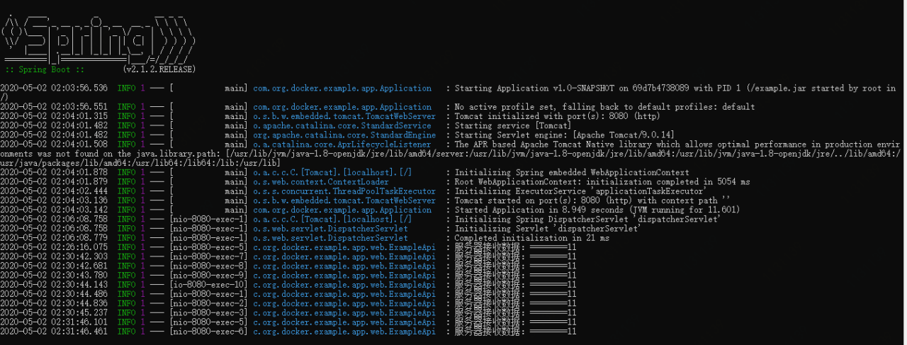 基于docker环境构建nginx代理java项目操作手册插图6