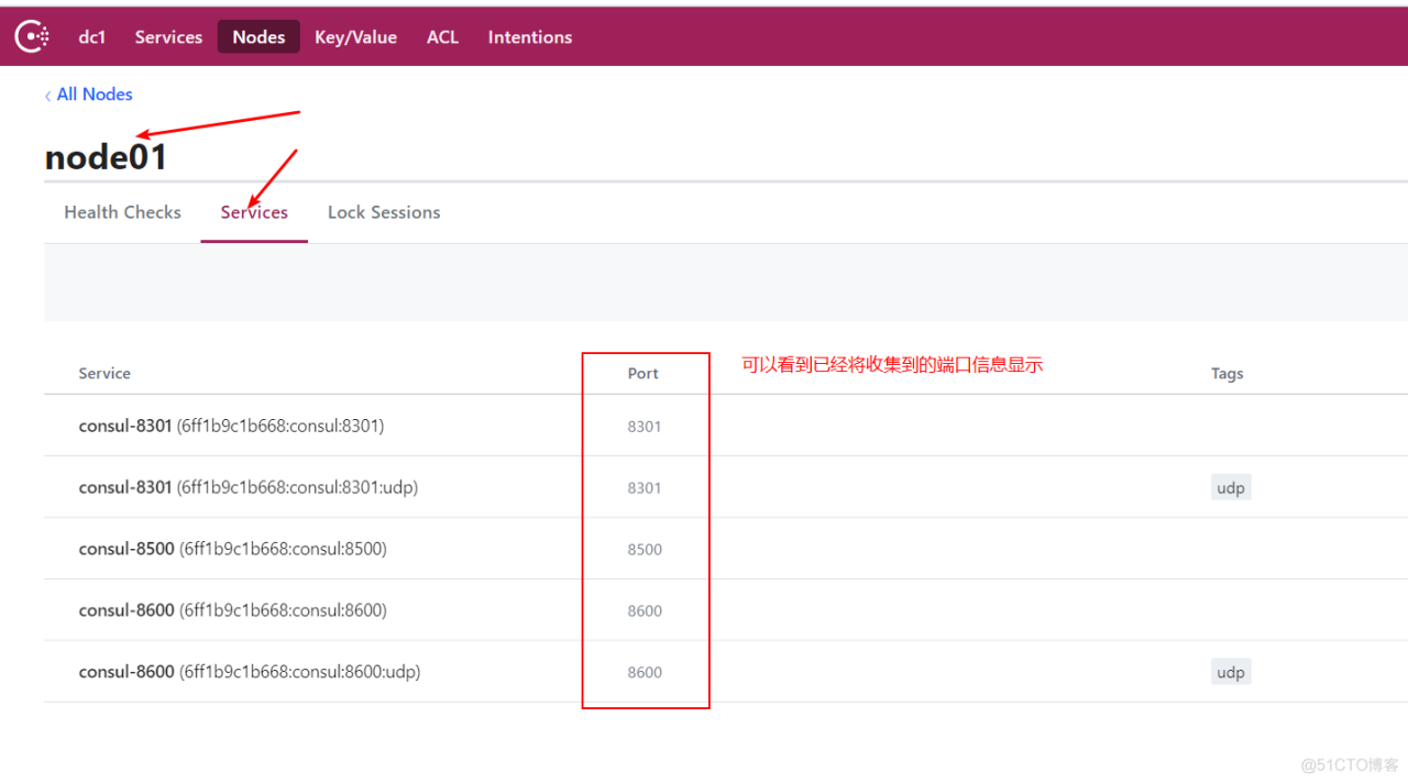 docker 配置Consul+registrator实时服务发现-MyLoo科技网