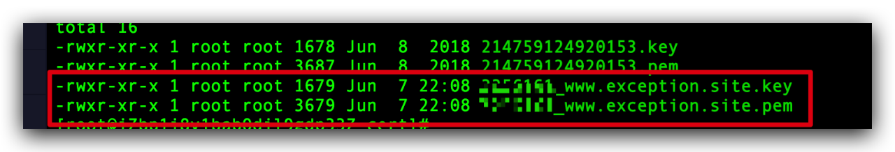 Docker 搭建反向代理 Ngnix，并配置 Https SSL 证书插图12