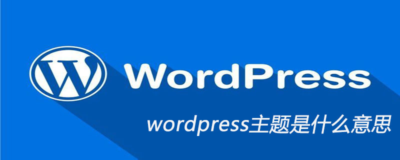 wordpress主题是什么意思-MyLoo科技网