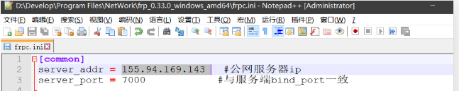 frp 实现内网穿透（Windows版）插图3