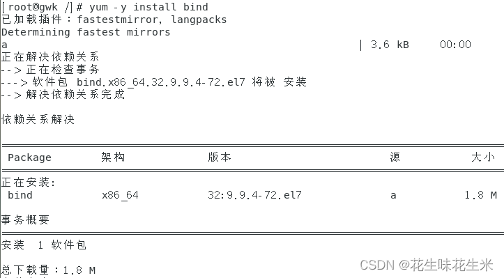 DNS域名解析插图