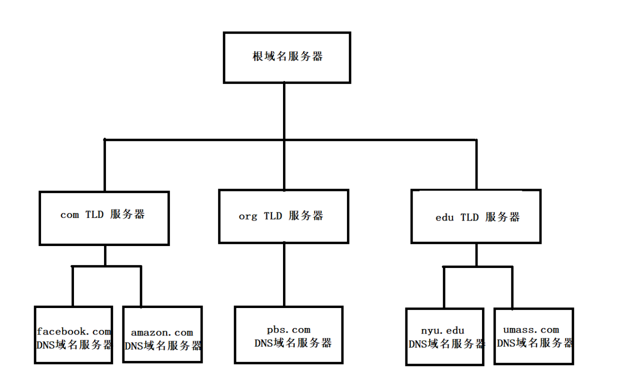 DNS域名解析过程-MyLoo科技网