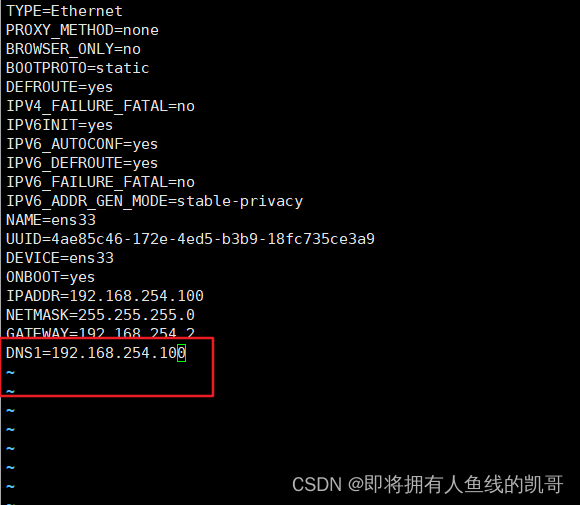 Linux网络之DNS域名解析概述-MyLoo科技网