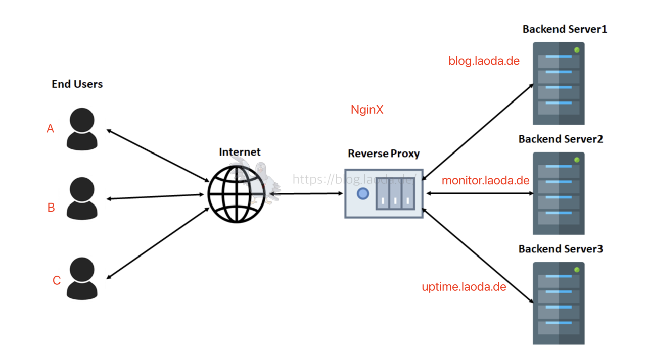 反代理nginxproxymanager-MyLoo科技网