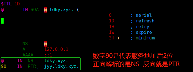 CentOS7 搭建 DNS 域名解析服务器-MyLoo科技网