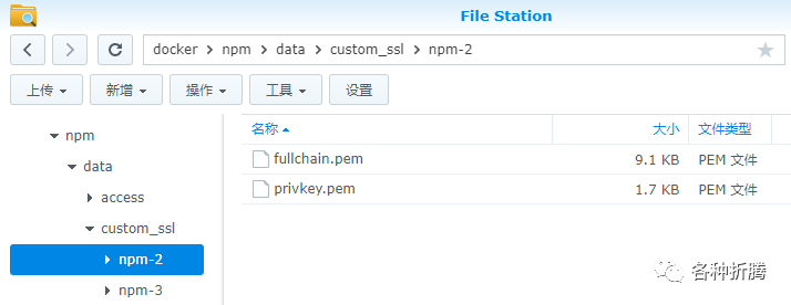 反向代理服务器nginx-proxy-manager插图14