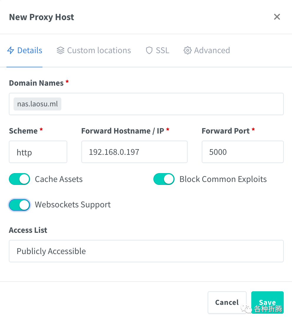 反向代理服务器nginx-proxy-manager插图16