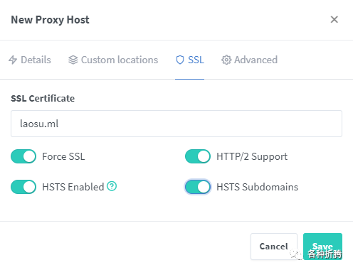 反向代理服务器nginx-proxy-manager插图18