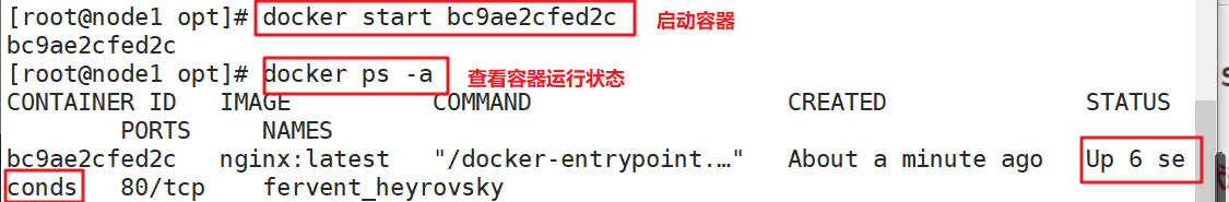 Docker基本概念及安装（图文详解）插图22