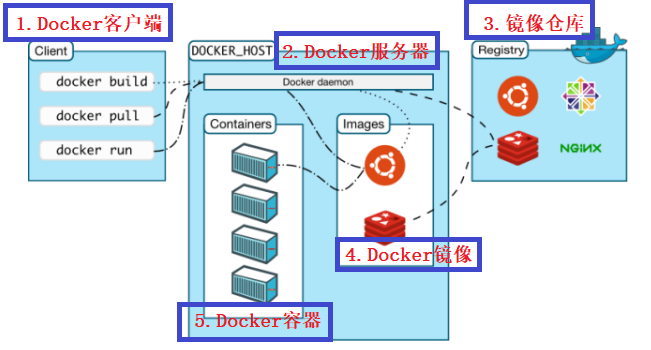 Docker基本使用-MyLoo科技网