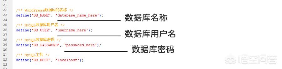 wordpress如何制作网页（wordpress主页制作）插图2