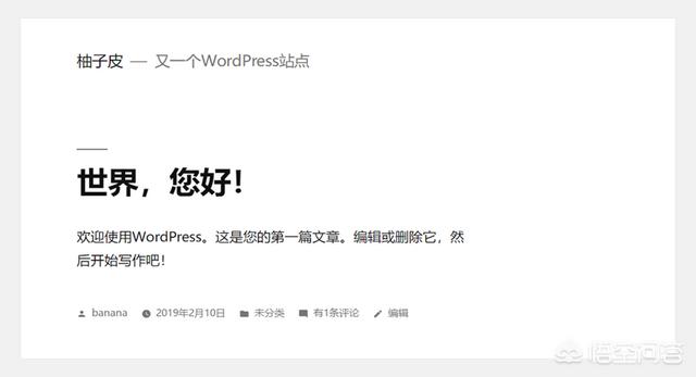 wordpress如何制作网页（wordpress主页制作）插图5