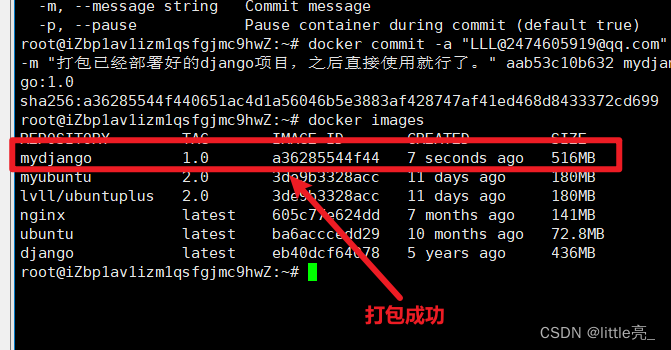 使用nginx+docker实现一个简单的负载均衡插图8