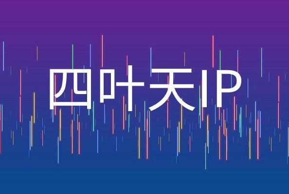 申请动态公网ip，动态公网ip怎么申请？-MyLoo科技网