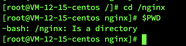 centos服务器详细安装docker及配置、部署，包括docker部署nuxt ssr服务端渲染、springboot jar包、mysql、nginx插图2