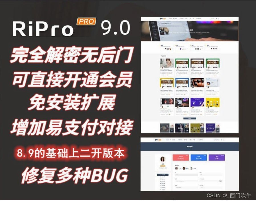 RiPro9.0免扩展二开版，wordpress主题模板全解密无后门插图