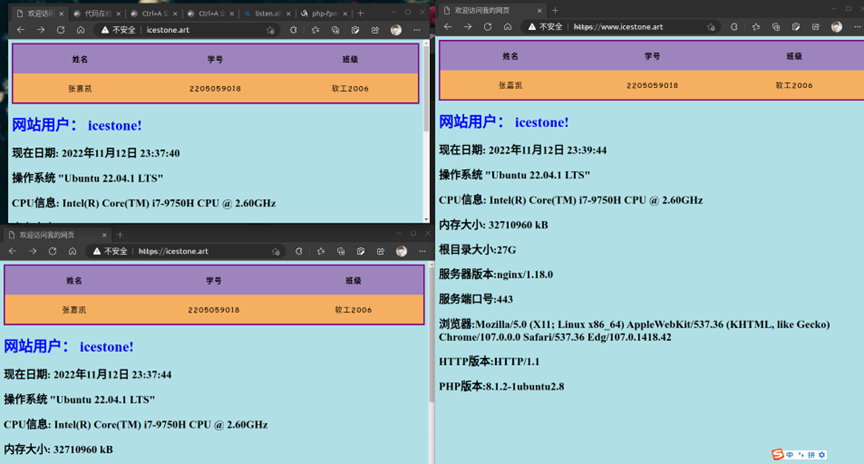 ubuntu22.4配置nginx和php-MyLoo科技网