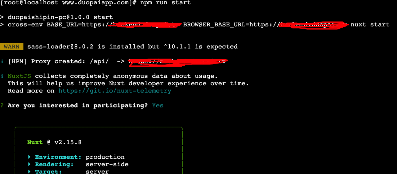 nuxt通过宝塔部署在服务器插图6