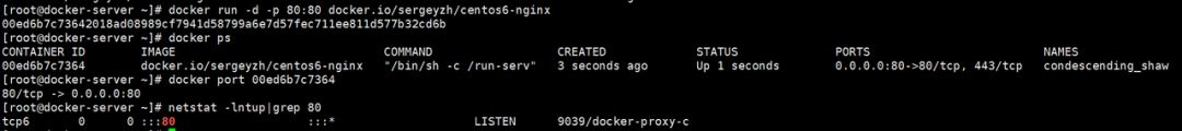 测开必知：Docker 从入门到精通（新手大全）插图23