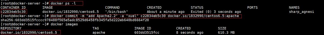 测开必知：Docker 从入门到精通（新手大全）插图4