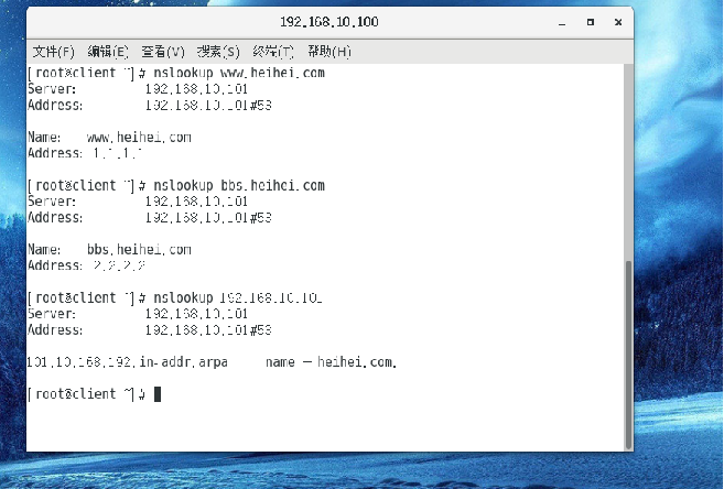 linux中DNS服务器的配置-MyLoo科技网