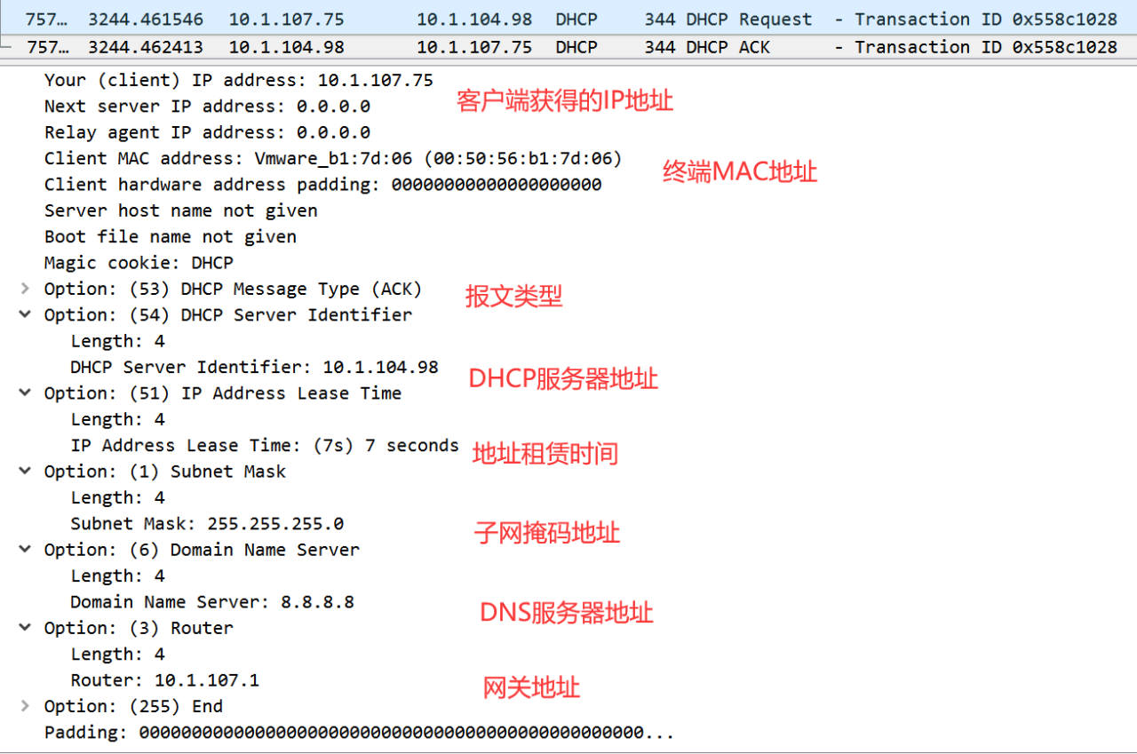 DNS云学堂 | 三分钟搞定，动态地址分配实操技巧-MyLoo科技网