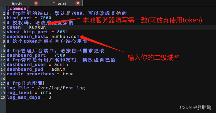 frp内网穿透配置,含子域名配置方式插图1