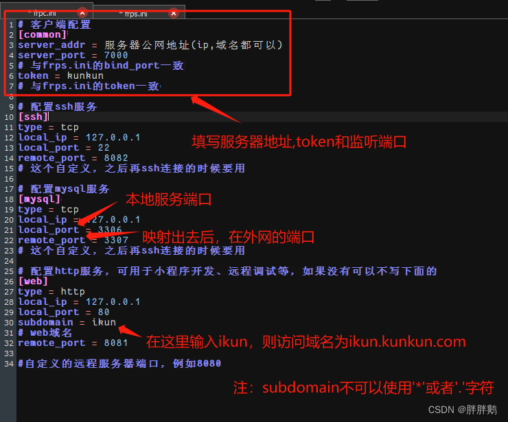 frp内网穿透配置,含子域名配置方式插图2