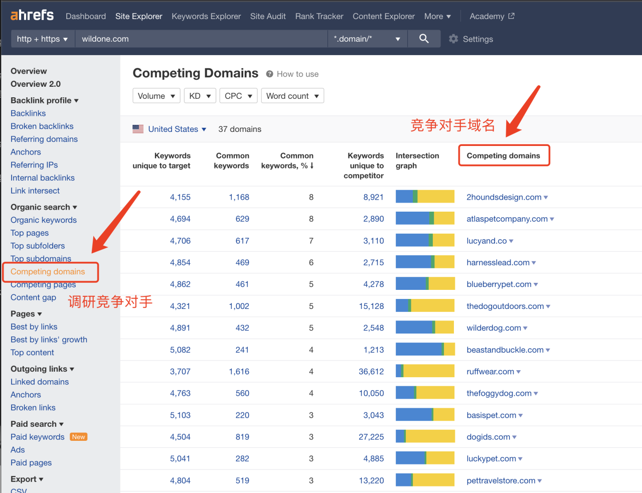 独立站最好用的 SEO 工具之一：Ahrefs 使用指南插图7