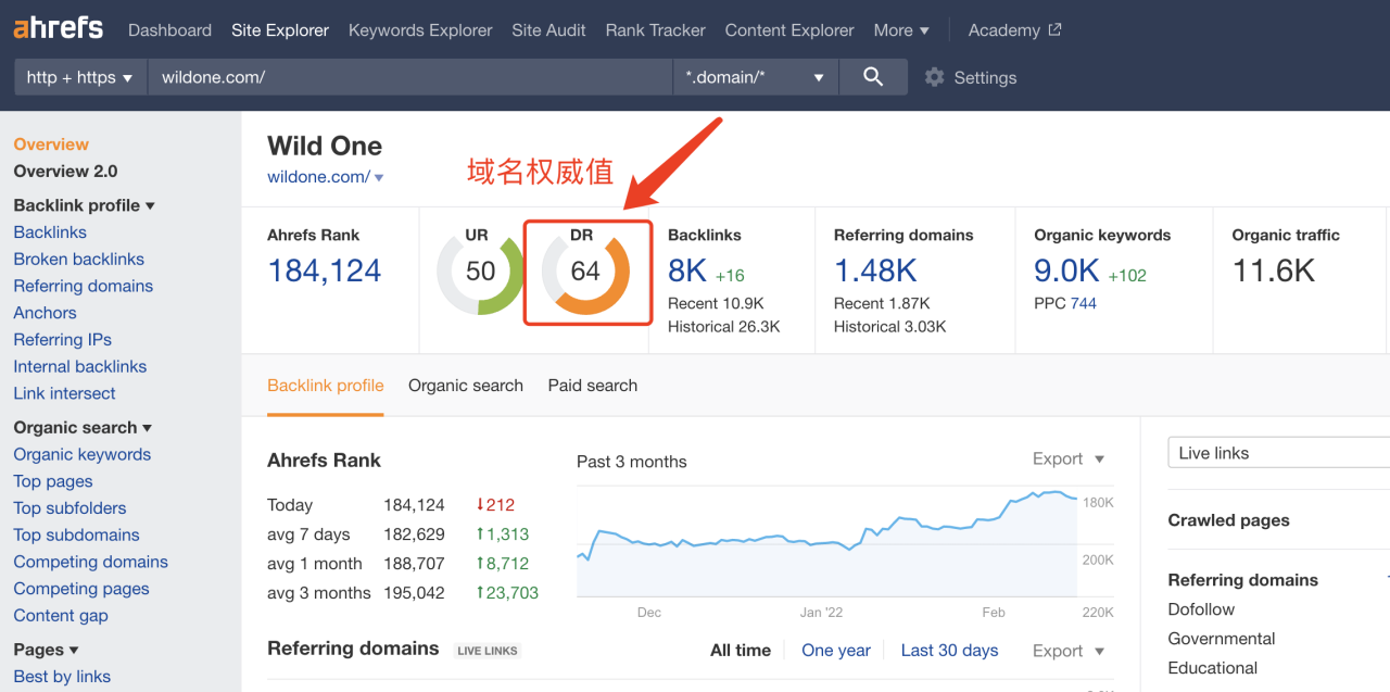 独立站最好用的 SEO 工具之一：Ahrefs 使用指南插图10