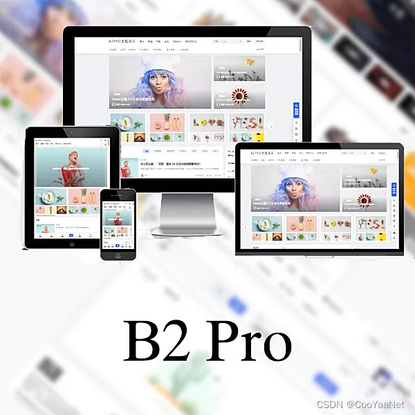 WordPress柒比贰7B2最新主题开心版7b2Pro 5.2.0开心版 附绕授权视频搭建教程插图