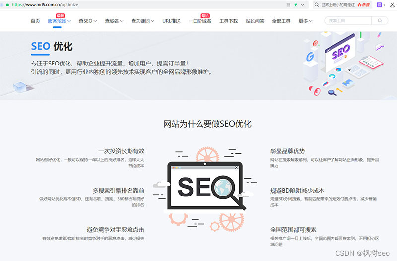 SEO作弊有哪些手段，网站采用SEO作弊会带来哪些惩罚-MyLoo科技网