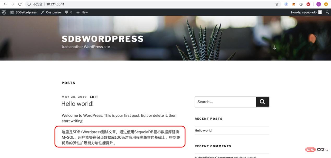 十分钟快速搭建 Wordpress 博客系统-MyLoo科技网