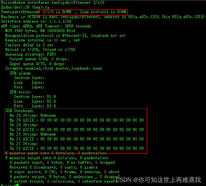 锐捷网络——10GWAN接口配置+ATM接口扩展配置插图2